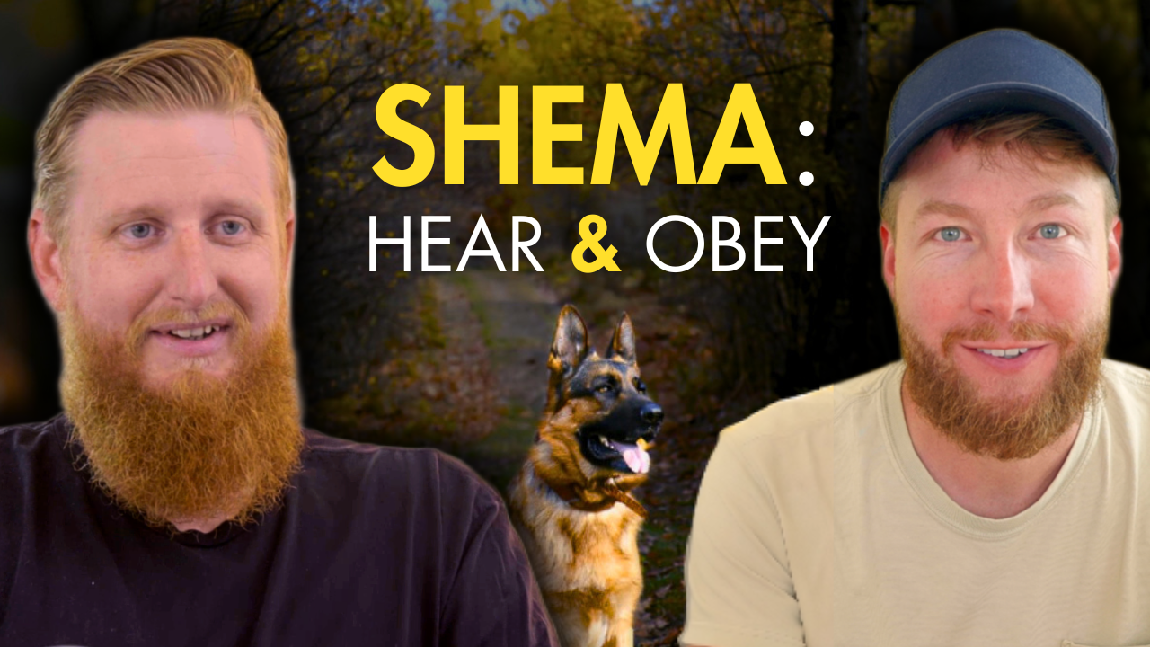 How Dogs Rebuilt a Broken Soldier & Taught Him Obedience and Law