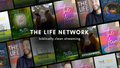 The LIFE Network - Basic Annual Membership