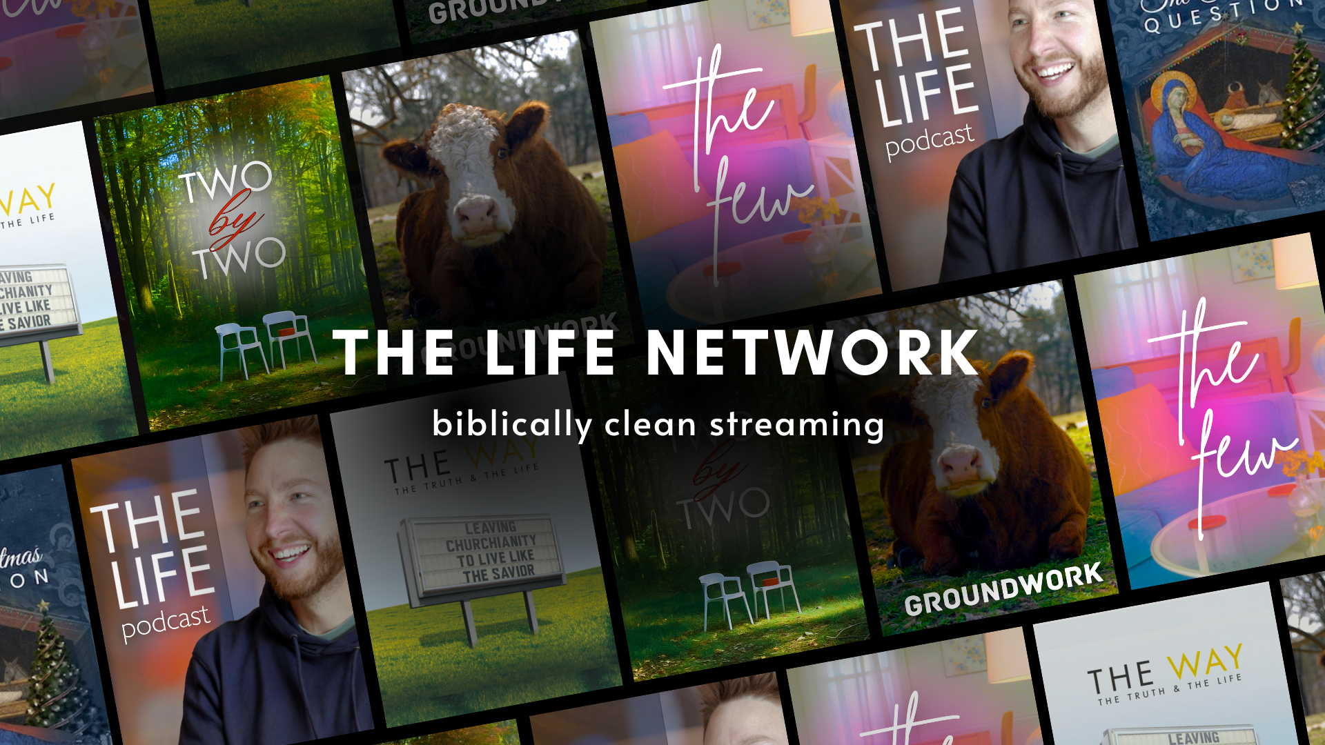 The LIFE Network - Basic Annual Membership